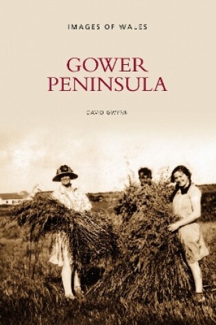 Cover of Gower Peninsula