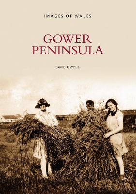 Book cover for Gower Peninsula