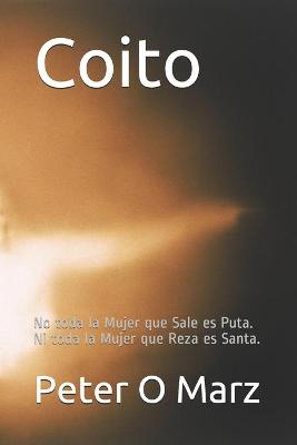 Book cover for Coito