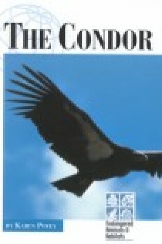 Cover of The Condor