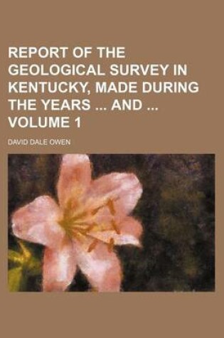 Cover of Report of the Geological Survey in Kentucky, Made During the Years and Volume 1