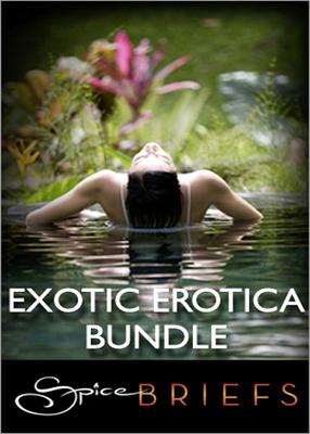 Book cover for Exotic Erotica Bundle