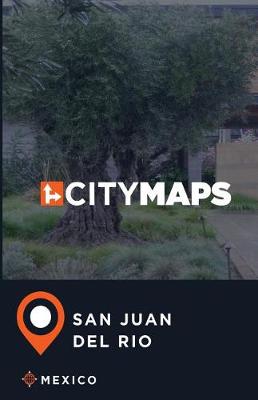 Book cover for City Maps San Juan del Rio Mexico