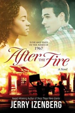 Cover of After the Fire