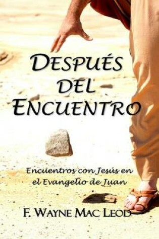 Cover of Despues del Encuentro
