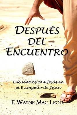 Book cover for Despues del Encuentro