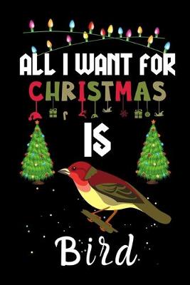 Book cover for All I Want For Christmas Is Bird