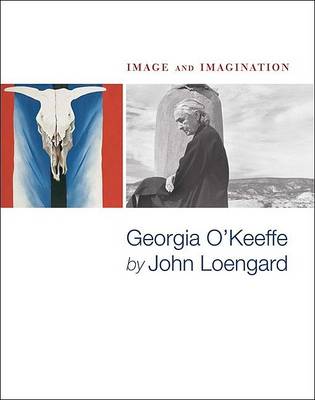 Book cover for Image and Imagination