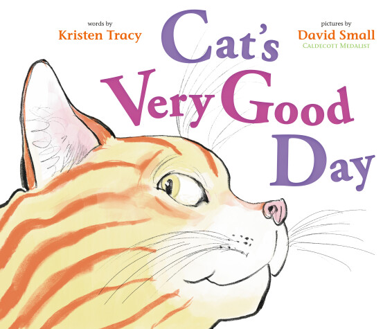 Book cover for Cat's Very Good Day