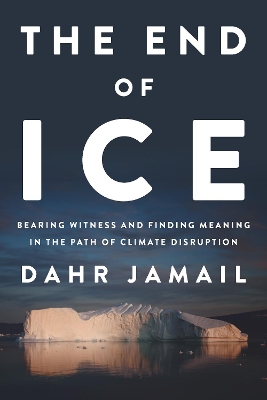 Book cover for The End of Ice