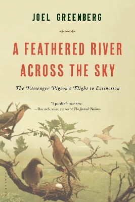 Book cover for A Feathered River Across the Sky