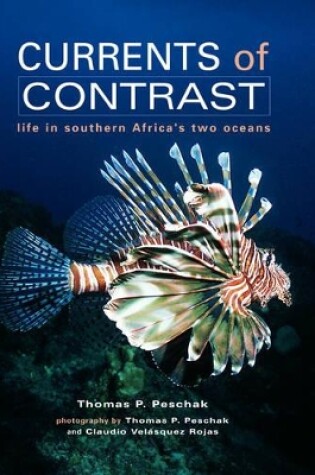 Cover of Currents of contrast