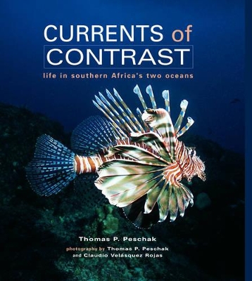 Book cover for Currents of contrast