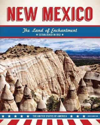 Book cover for New Mexico