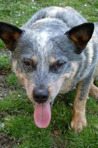 Cover of Blue Heeler Dog Resting Journal