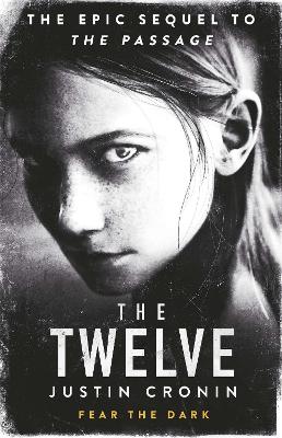 Book cover for The Twelve