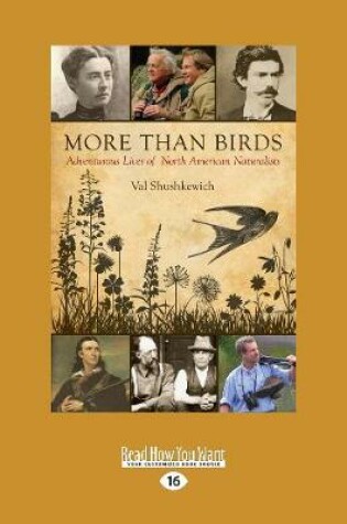 Cover of More Than Birds