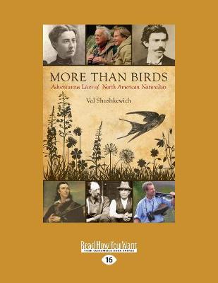 Book cover for More Than Birds