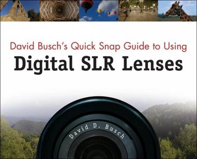 Book cover for David Busch's Quick Snap Guide to Using Digital SLR Lenses