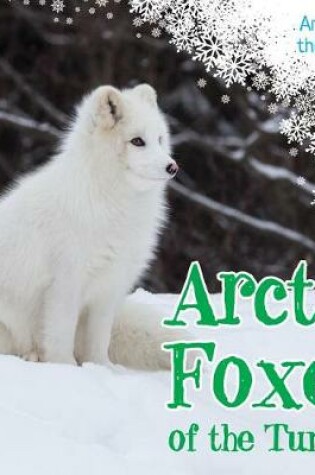 Cover of Arctic Foxes of the Tundra