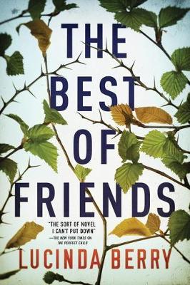 Book cover for The Best of Friends