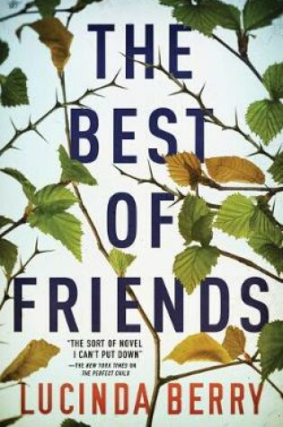 Cover of The Best of Friends