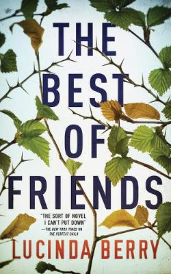 Book cover for The Best of Friends