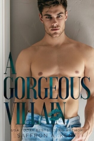 Cover of A Gorgeous Villain