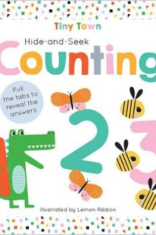 Cover of Hide-and-Seek Counting