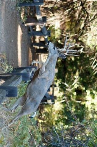 Cover of Mule Deer Jumping a Fence Journal