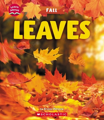 Book cover for Leaves (Learn About: Fall)