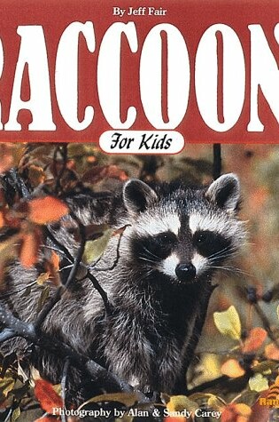 Cover of Raccoons for Kids