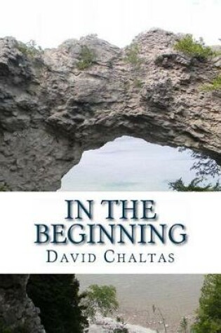 Cover of In the Beginning