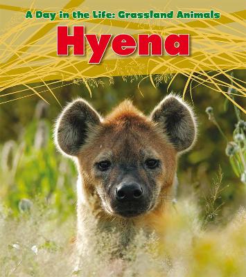 Book cover for Hyena