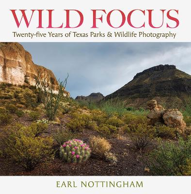 Book cover for Wild Focus
