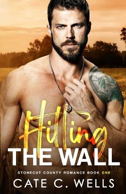 Book cover for Hitting the Wall