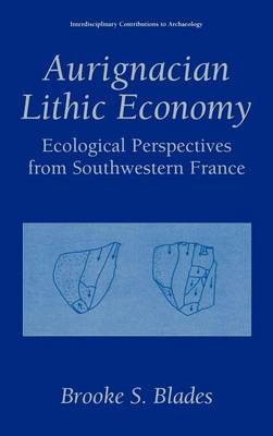 Book cover for Aurignacian Lithic Economy: Ecological Perspectives from Southwestern France