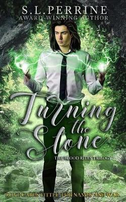 Book cover for Turning the Stone