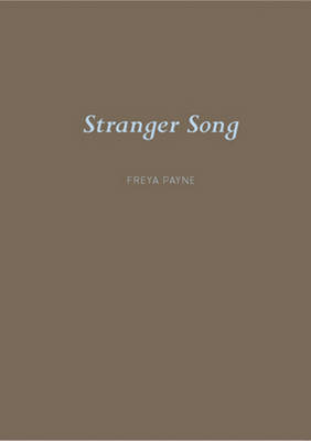 Book cover for Stranger Song