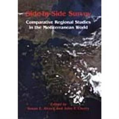 Book cover for Side-by-Side Survey