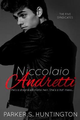 Book cover for Niccolaio Andretti