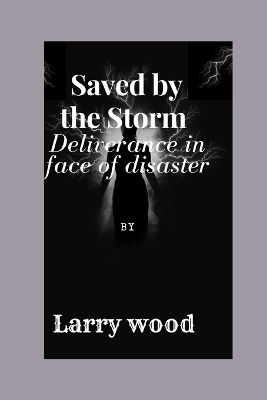 Book cover for Saved by the Storm