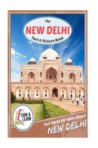 Cover of The New Delhi Fact and Picture Book