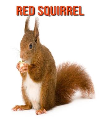 Book cover for Red Squirrel