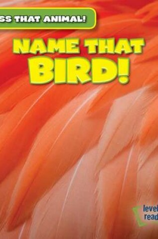 Cover of Name That Bird!