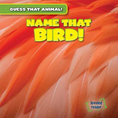 Book cover for Name That Bird!