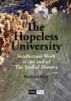 Book cover for The Hopeless University