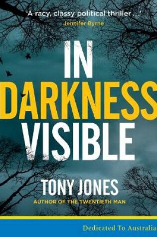 Cover of In Darkness Visible