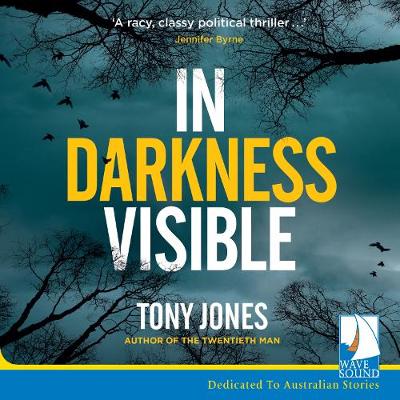 Book cover for In Darkness Visible