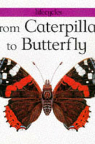 Cover of From Caterpillar to Butterfly